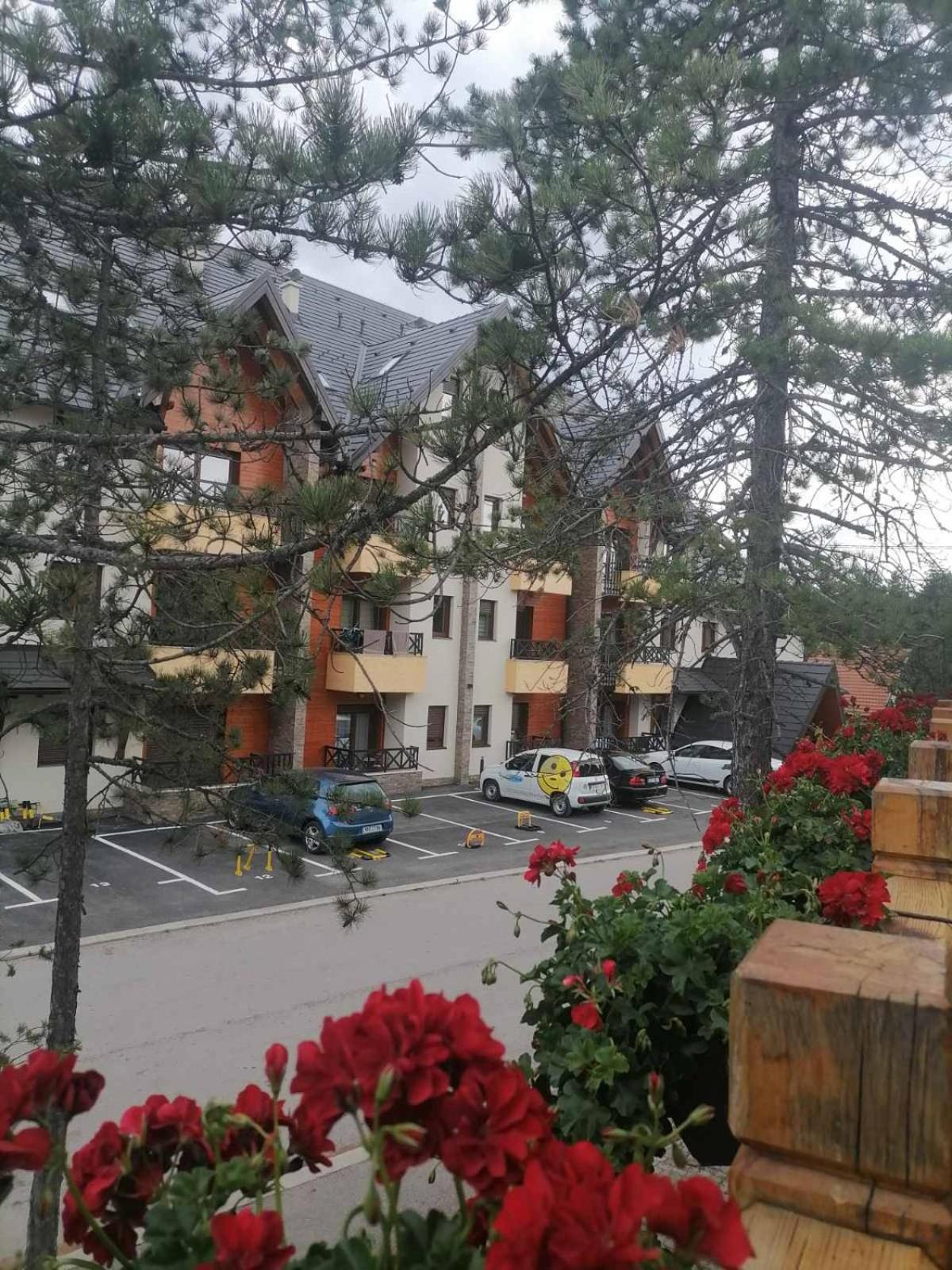 Apartman Pahuljica Tara Kaludjerske Bare Εξωτερικό φωτογραφία